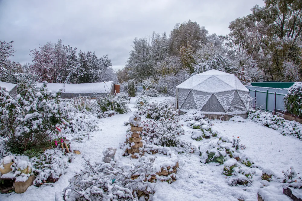 Snow covers a backyard garden, including a greenhouse.