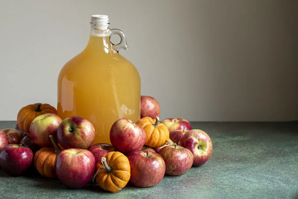 A gallon jug of pumpkin spiced cyser surrounded by apples and tiny pumpkins.