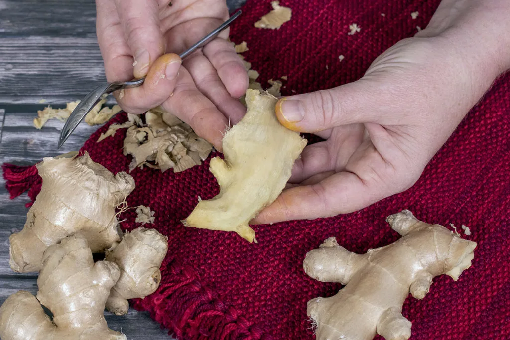 Hands hold a piece of ginger showing that has just been peeled.