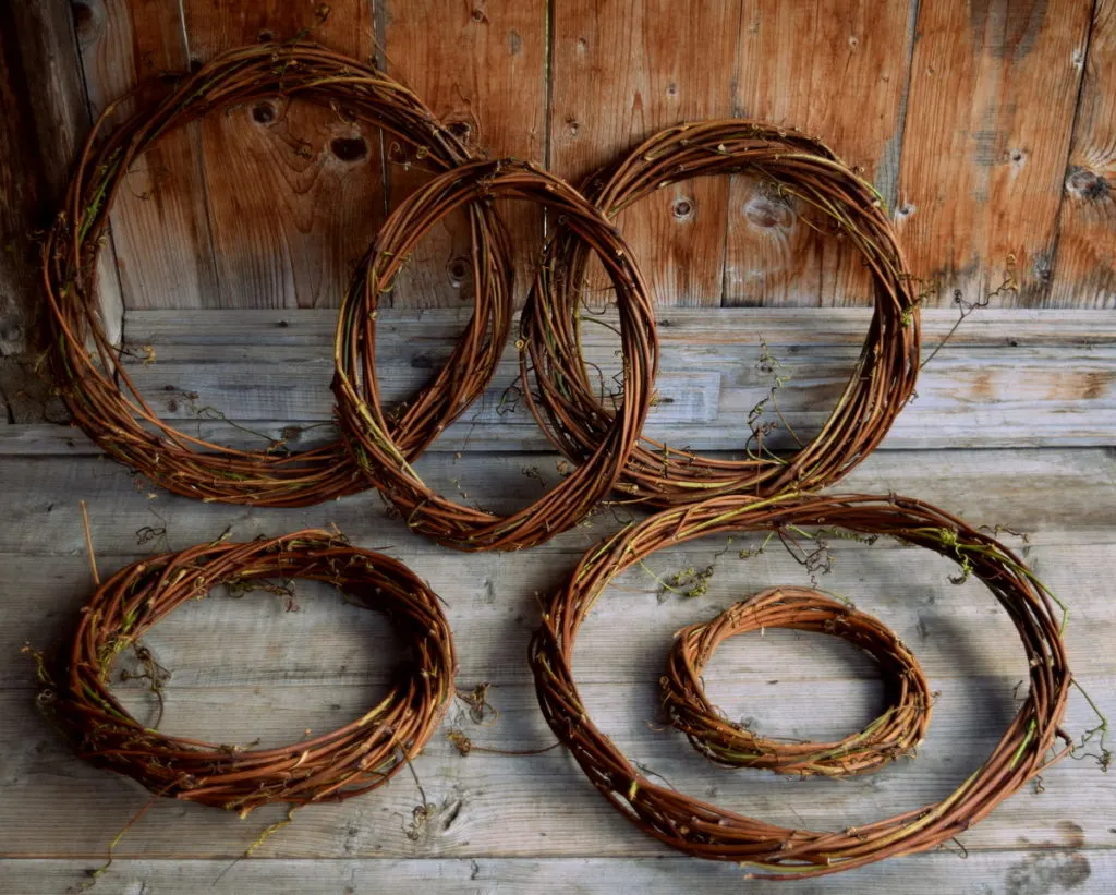 Six grapevine wreathes in assorted sizes.