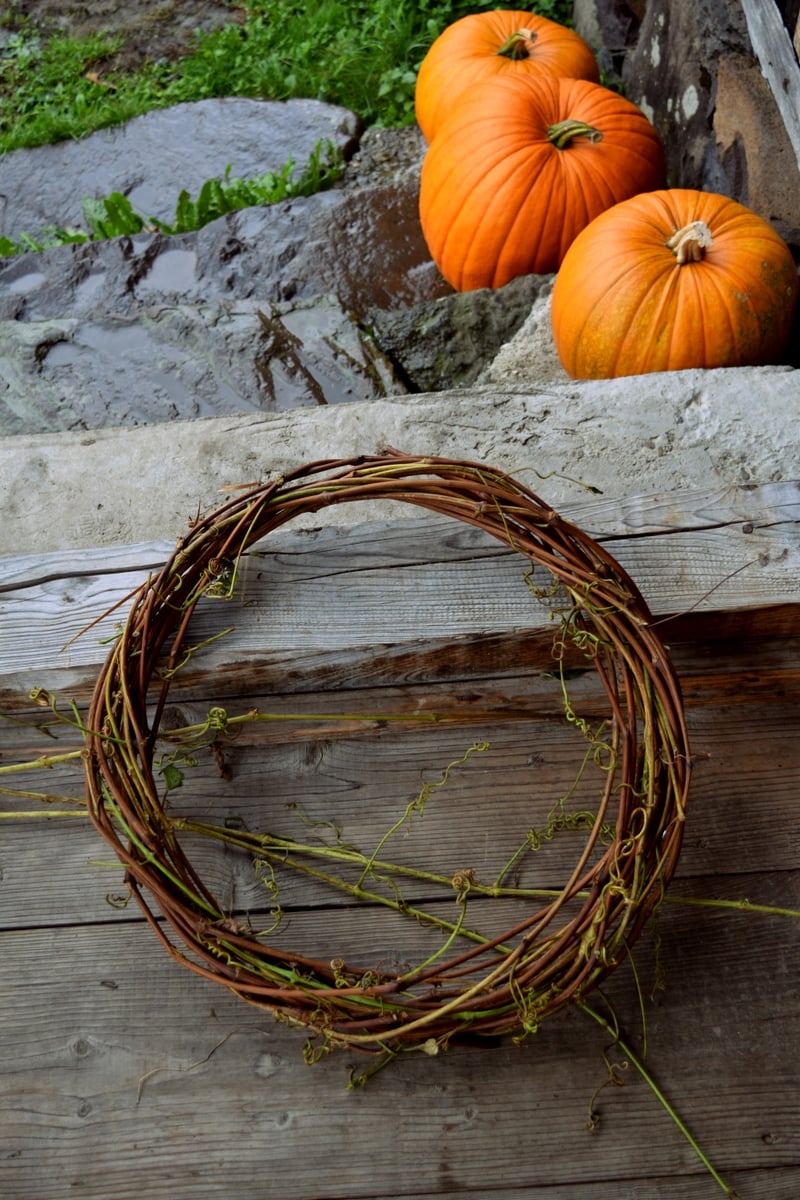 How To Make A Grapevine Wreath (Or Any Other Vining Plant)