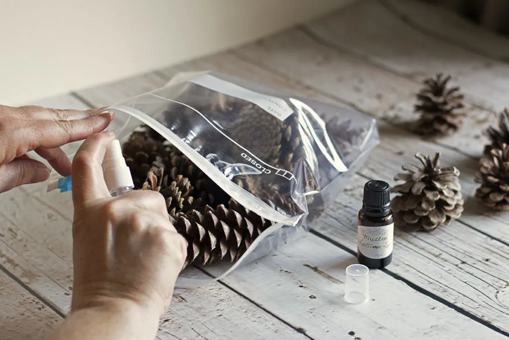 Hands are shown holding open a plastic zippered storage bag full of pine cones and spraying scented oil into the bag.