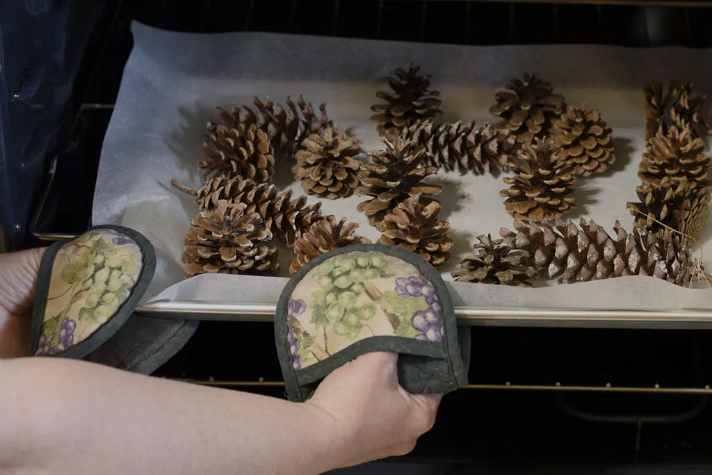 Someone uses oven mits to pull a baking sheet full of pine cones from the oven.