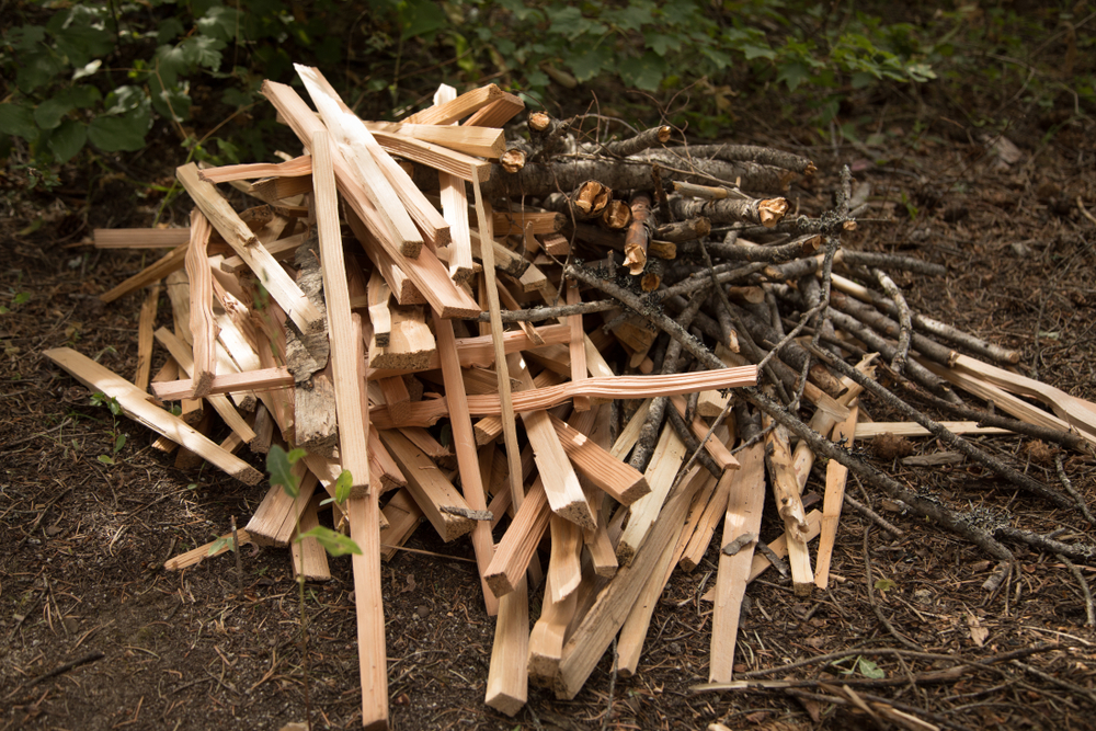 wood-stove-pine-kindling.jpg