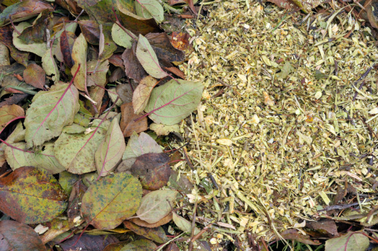 Stinky Compost 5 Composting Problems & How To Fix Them: Flies, Stinky Compost, Rodents ...