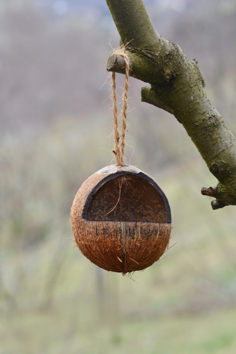 8 Genius Uses For Coconut Shells