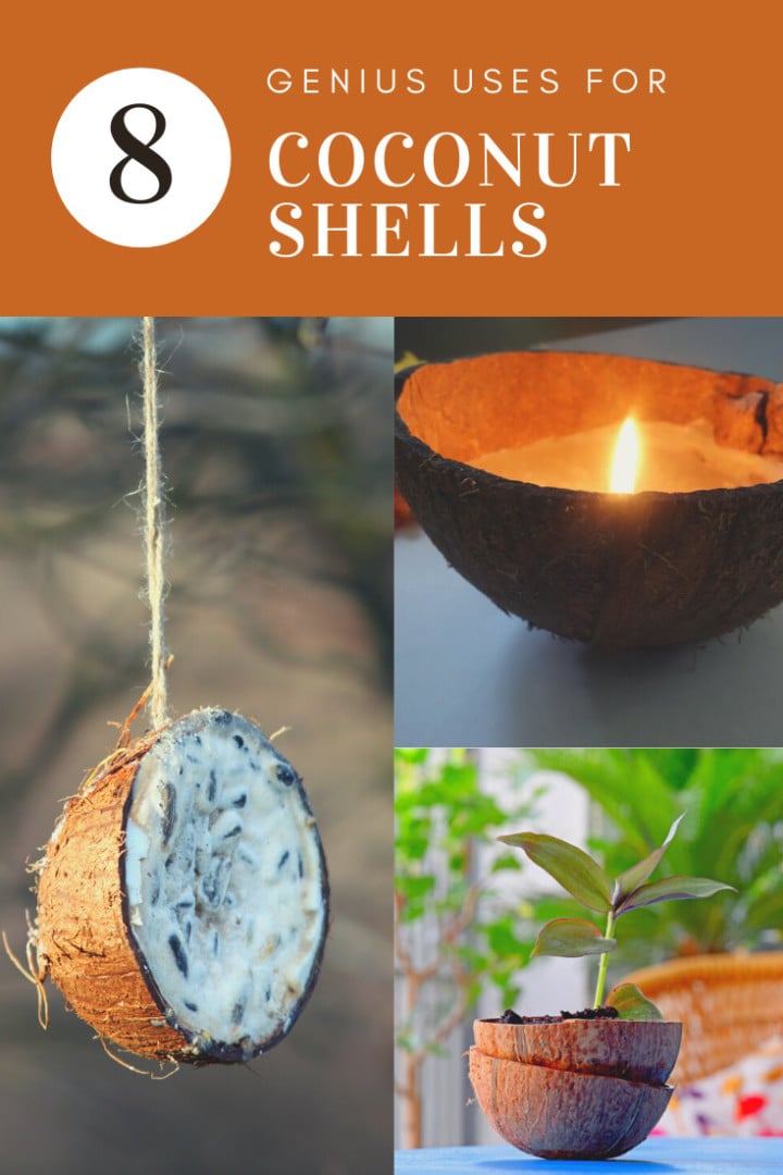 8 Genius Uses For Coconut Shells