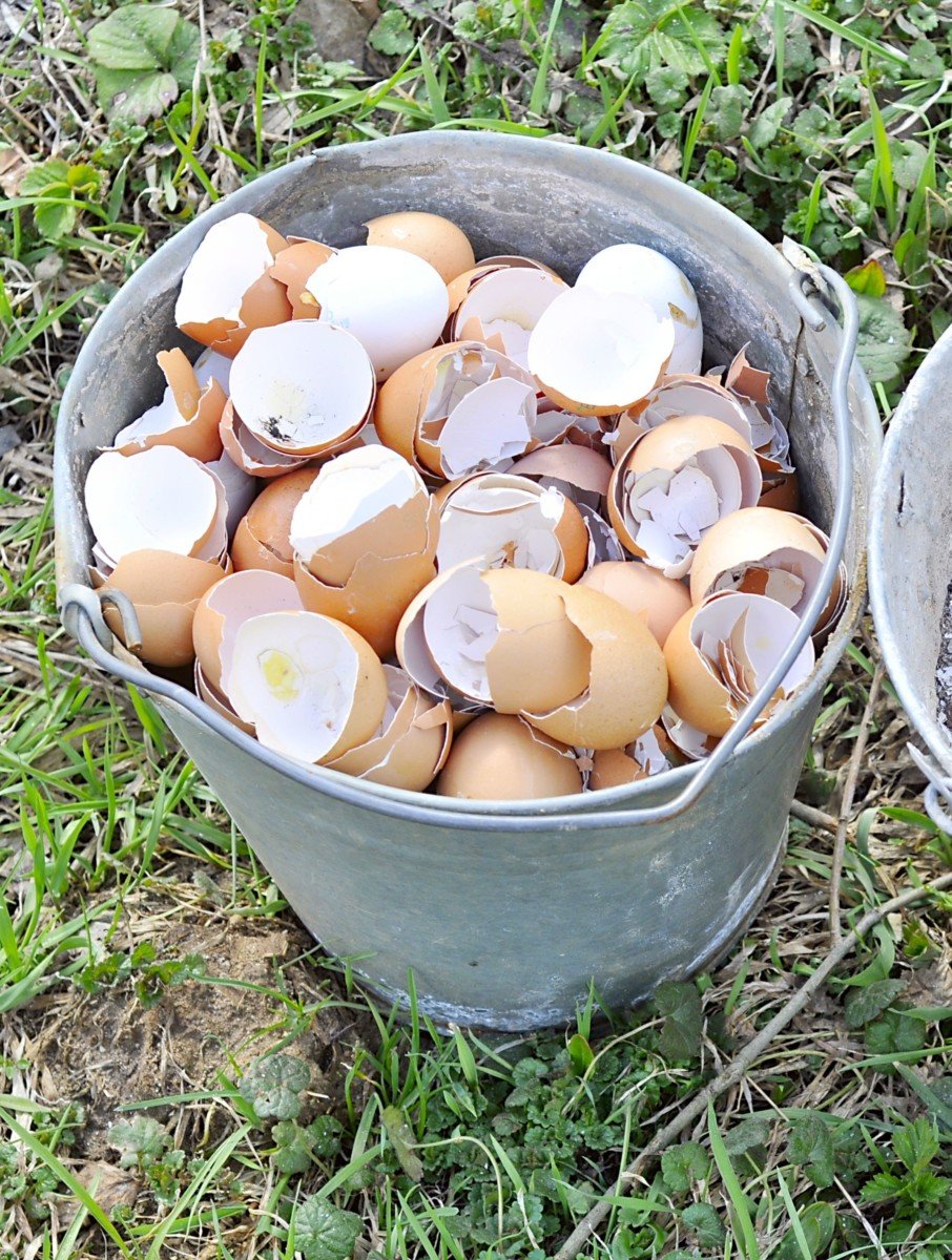 8 Genius Uses For Coconut Shells