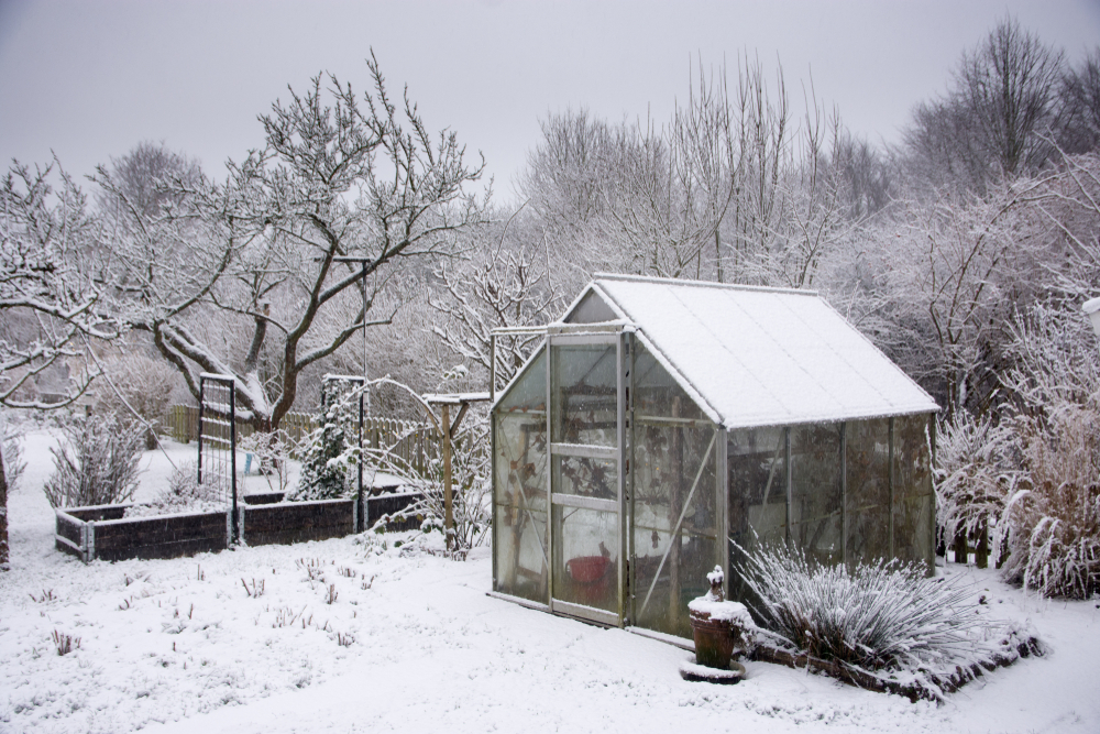 A snow covered greenhouse and garden in winter.