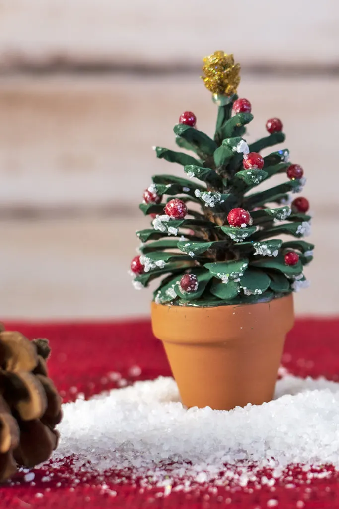 A tiny Christmas tree made using a pine cone, glued into a miniature terracotta pot. Sitting in a pile of fake snow next to a natural pine cone.