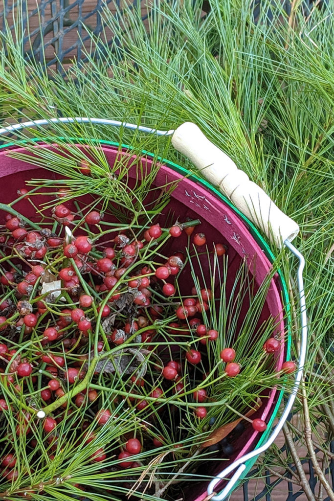 Pine needles and tiny rose hips in a basket of red and green.