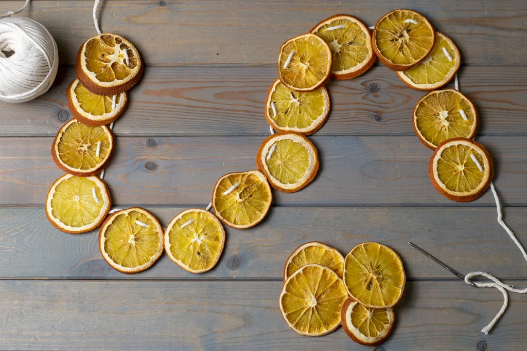 Dried orange slices have been threaded onto a length of cotton butcher's twine to make a simple garland.