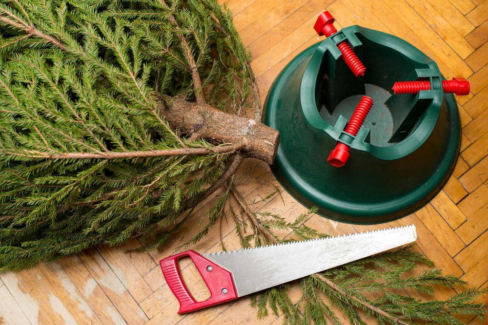 A Christmas tree is on the floor next to a tree stand and a wood saw.