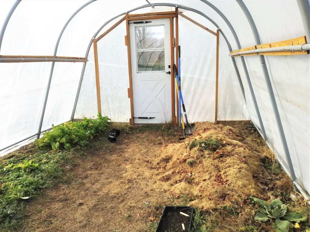 Inside a small greenhouse. Grass clippings cover the plants