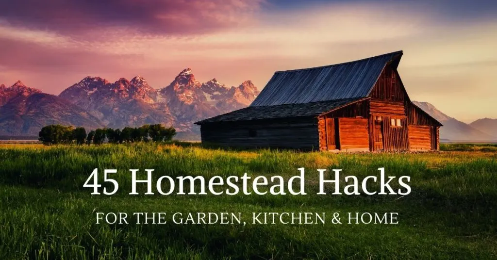 Best Home Depot Hacks, Homesteading Tips & Tricks!
