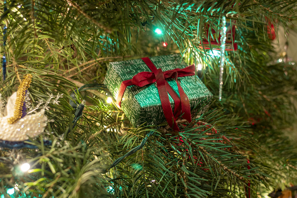 A small wrapped Christmas present is tucked in the boughs of a Christmas tree. There are other ornaments around it.