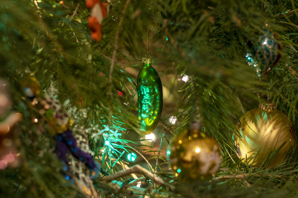 A pickle ornament is hung inside a Christmas tree.