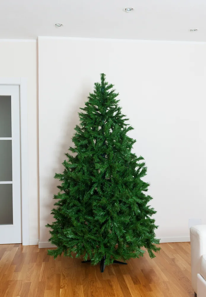An undecorated fake Christmas tree is set up in a bare room.