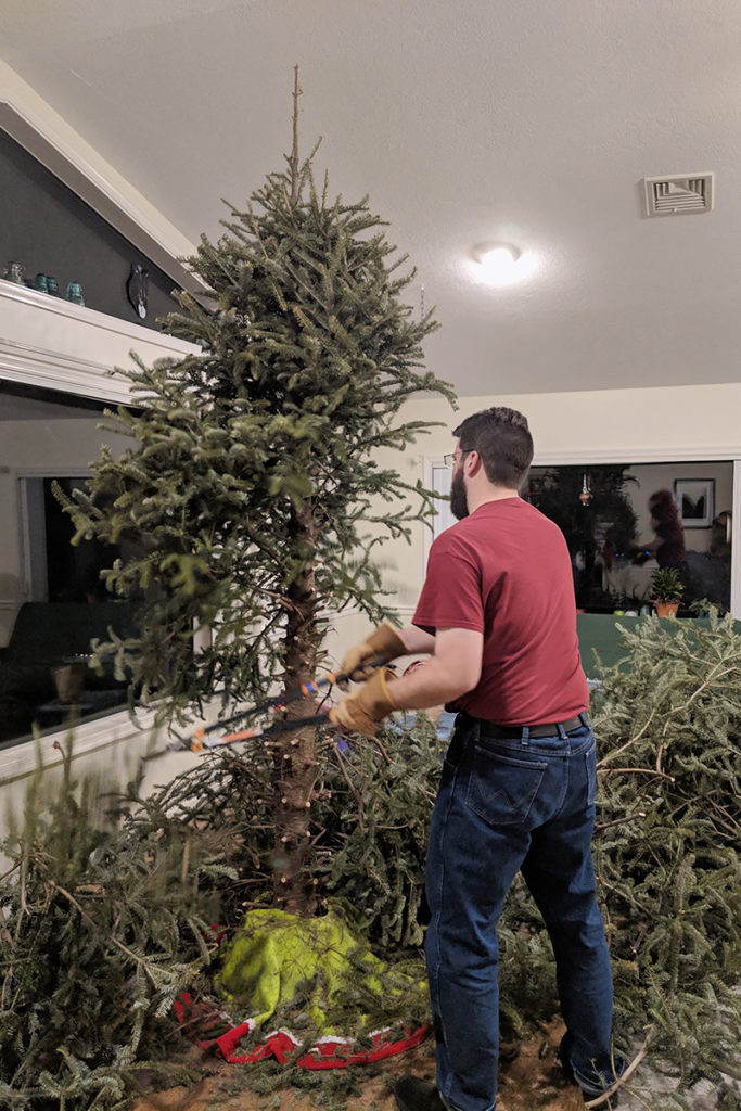 A man is shown using hedge clippers to cut the branches off of a real Christmas tree as it's being taken down for the season. 