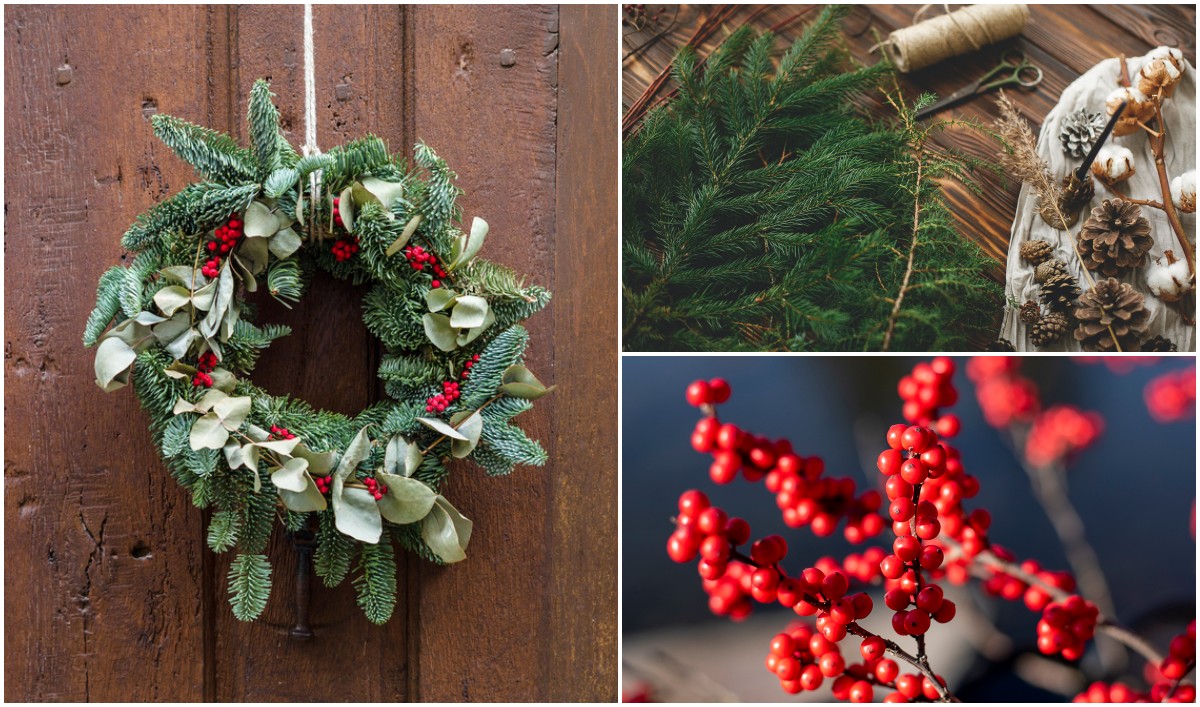 9 Plants to Forage For Natural Christmas Decorations