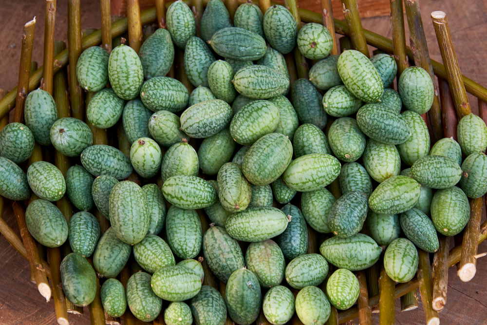 A basket full of cucamelons.