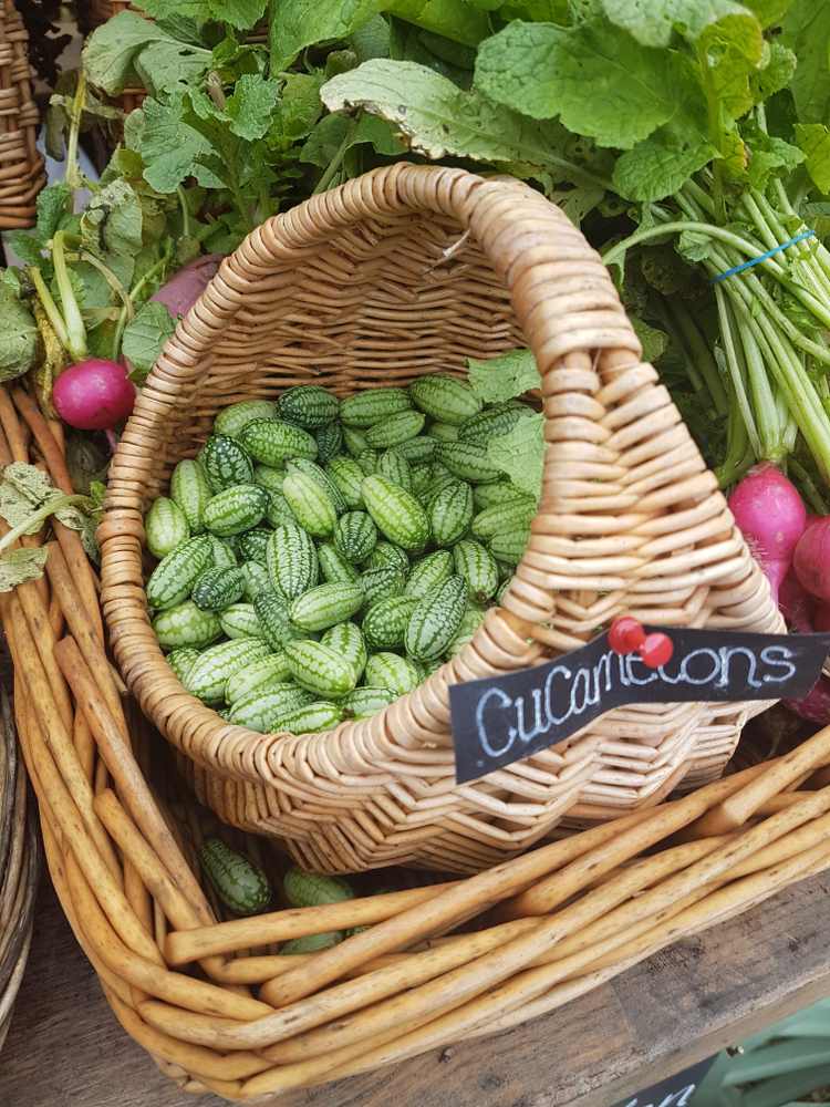 A basket of cucamelons for sale at a farmer's market
