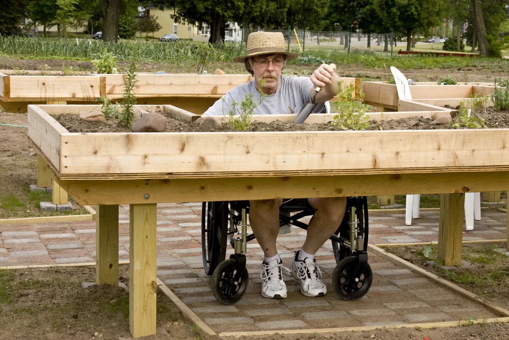 A man in a wheelchair tends a raised bed garden. 