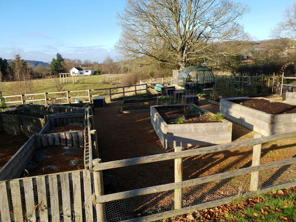 A garden full of raised beds with a house in the distance. 