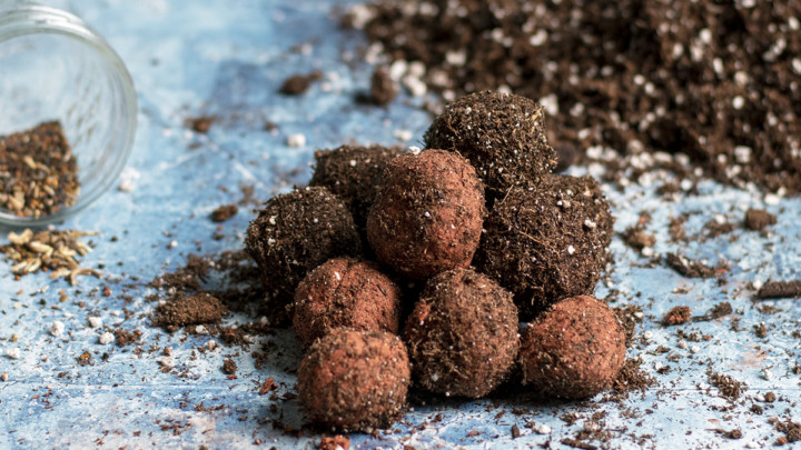 Close up shot of wildflower bombs made with clay, seeds, and growing media on blue background.