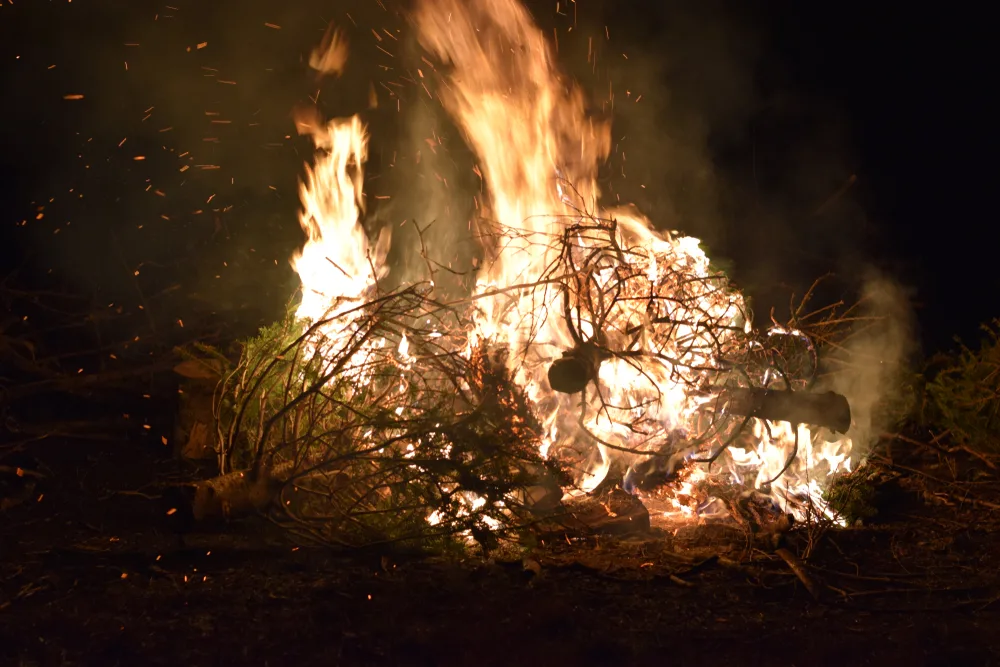 A bonfire made up of disposed of Christmas trees.