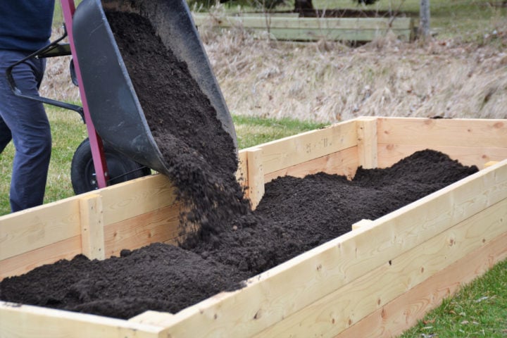 How To Fill A Raised Bed With Healthy Soil (& Save Money!)