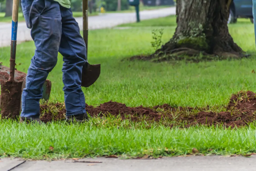 Someone's legs are seen, they are holding a shovel in front and are digging up the lawn in front of a sidewalk. 