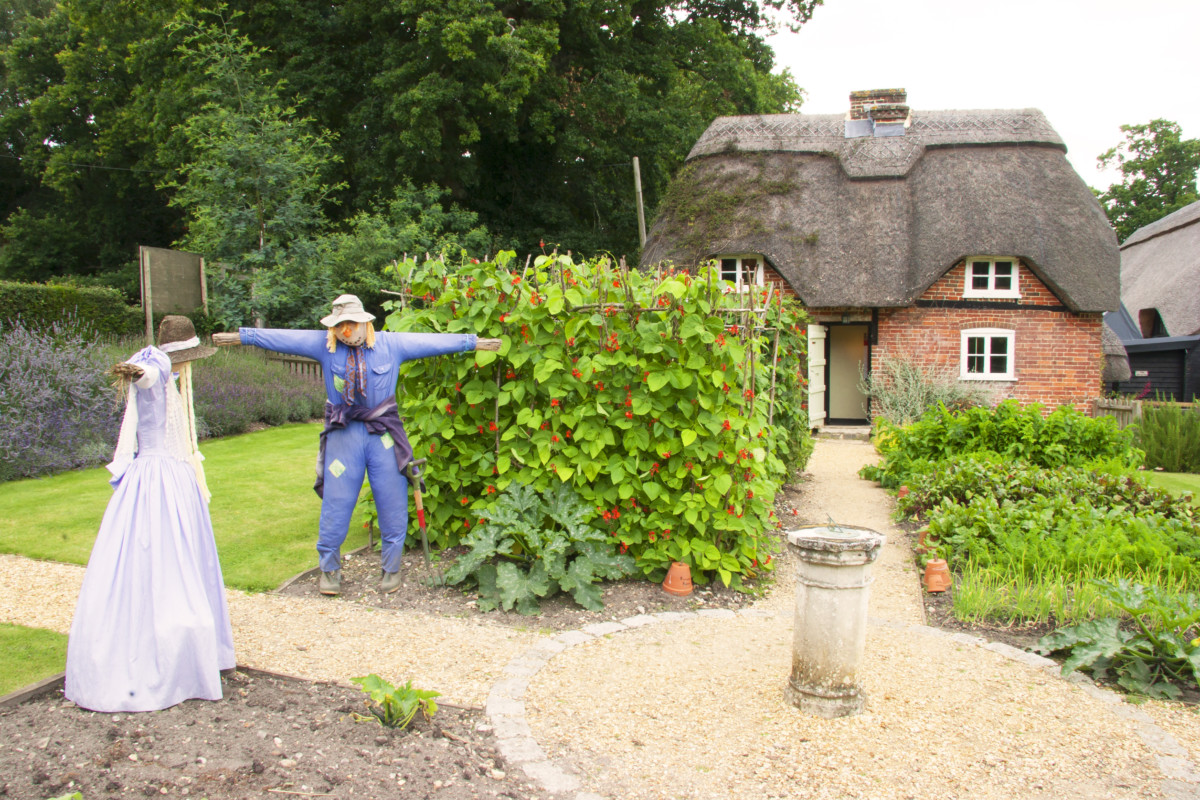 6 Reasons To Grow A Front Yard Vegetable Garden