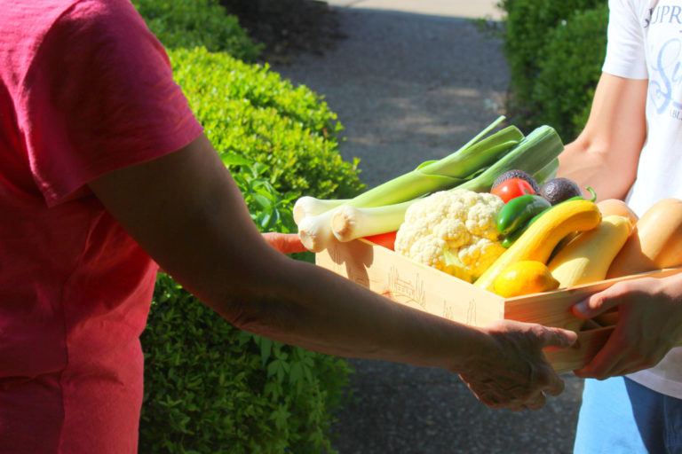 6 Reasons To Grow A Front Yard Vegetable Garden