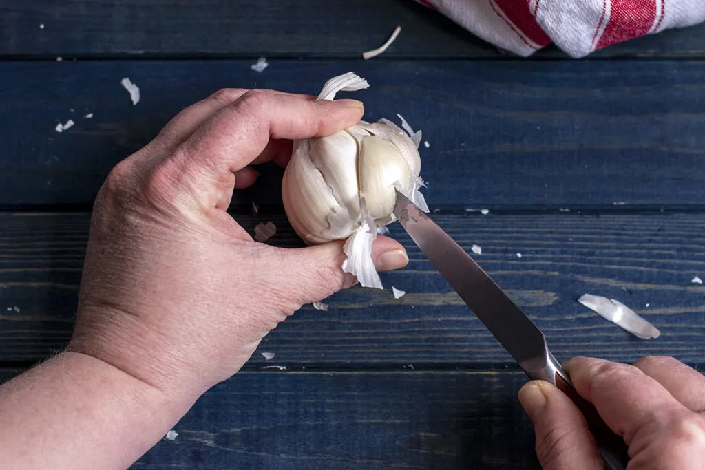 I'm holding the head of garlic with one hand while poking the paring knife into the side of one of the cloves.