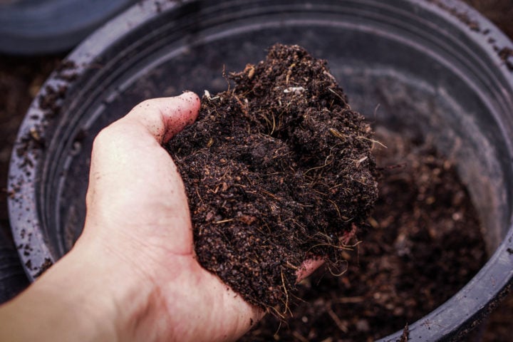 How To Fill A Raised Bed With Healthy Soil (& Save Money!)