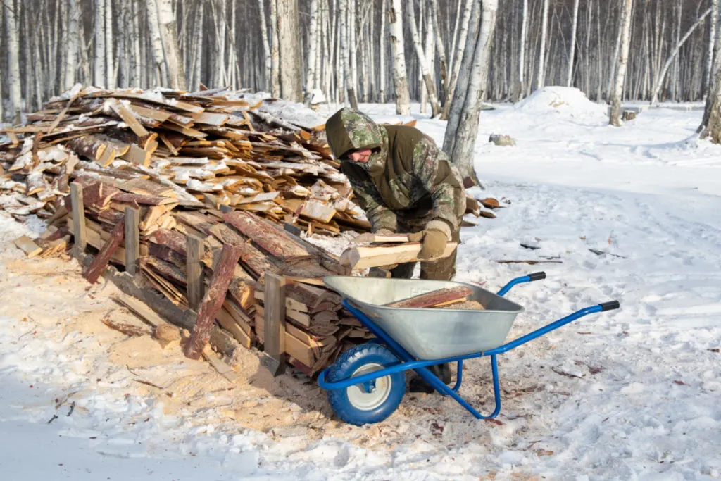 a man loads a wheelbarrow with firewood in a wintery forest.