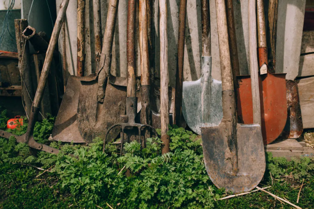 A row of old garden tools leaning up against a shed.