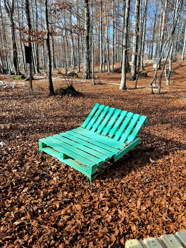 Lounge chair made from wood pallets in the middle of the woods. 
