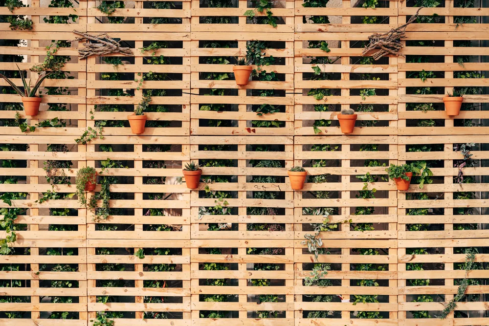 A privacy screen has been made of wood pallets. 