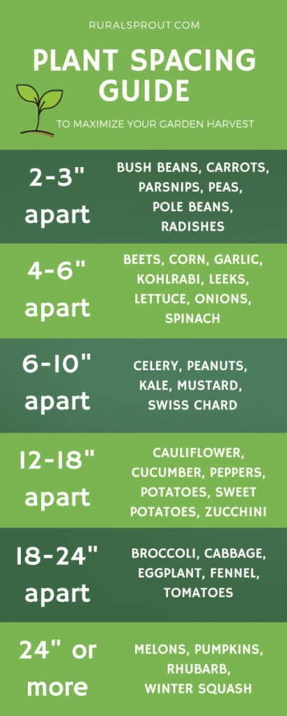 Plant Spacing 30 Vegetables Their Spacing Requirements plant-spacing-30-vegetables-their-spacing-requirements