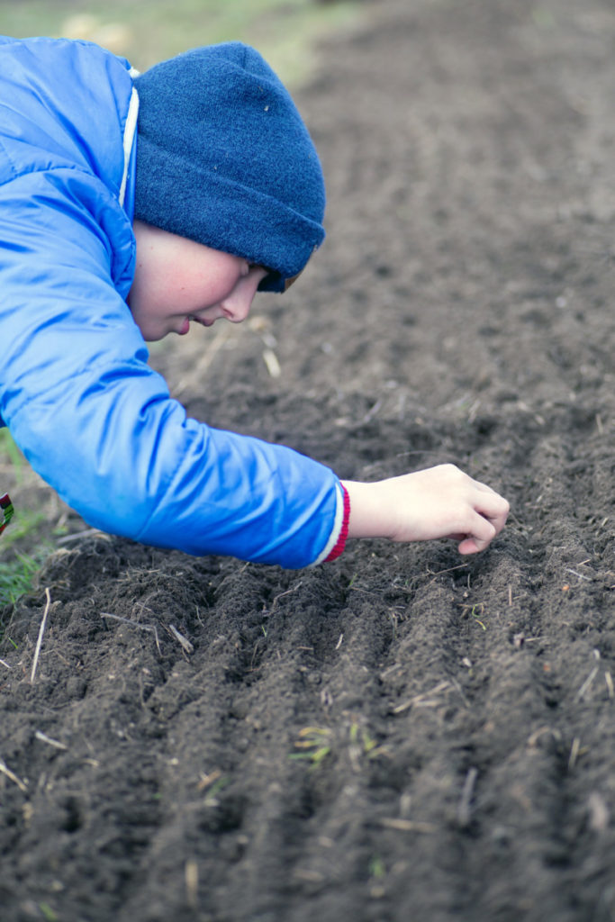 A young child in a winter hat and coat is sowing seeds in the ground.