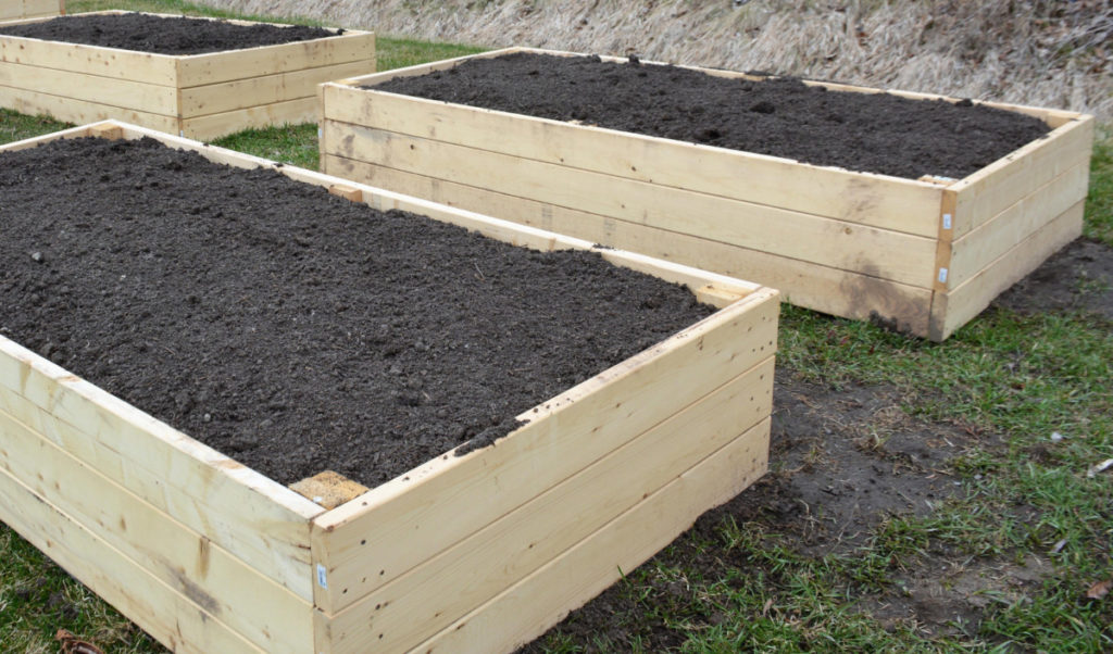 Newly constructed raised beds filled with soil.
