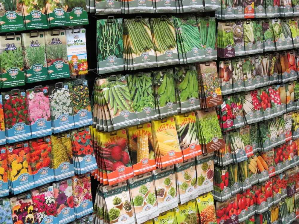 Rows of seed packets in a store are shown.