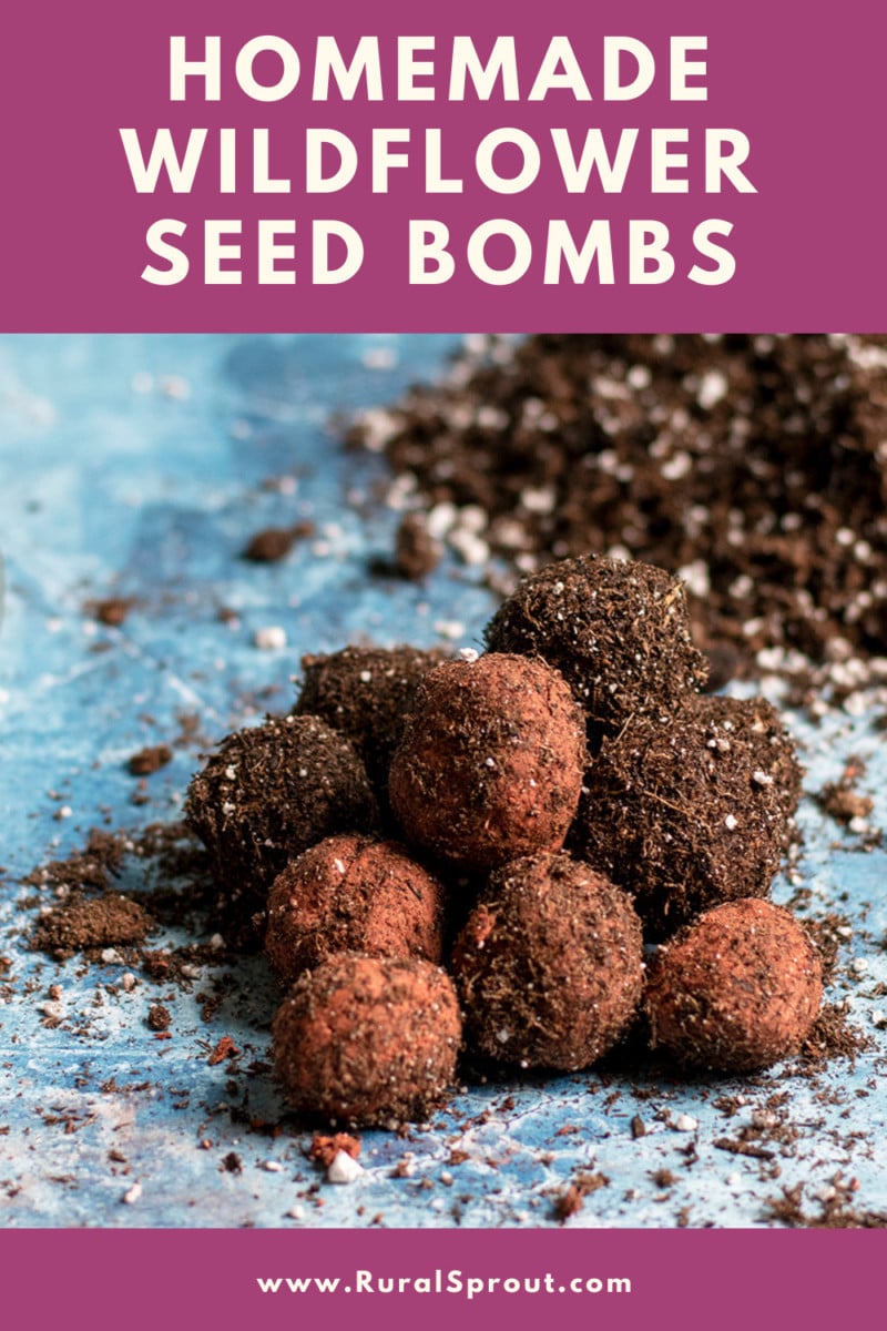 Homemade Wildflower Seed Bombs To Beautify Landscapes