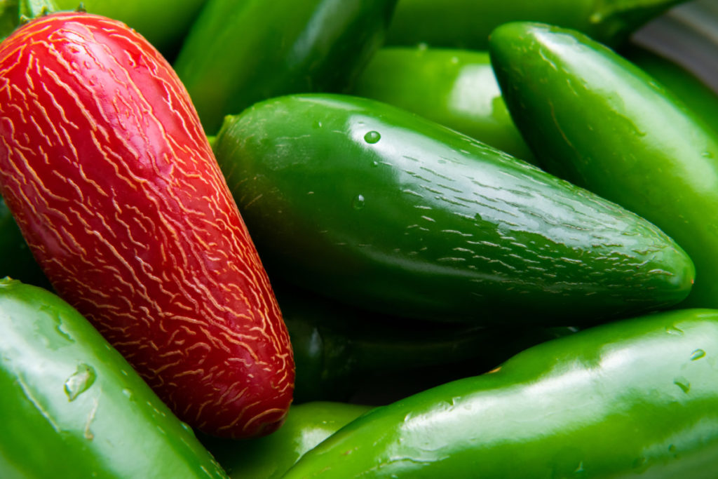 Close up shot of jalapenos with heat striations, red and green. 