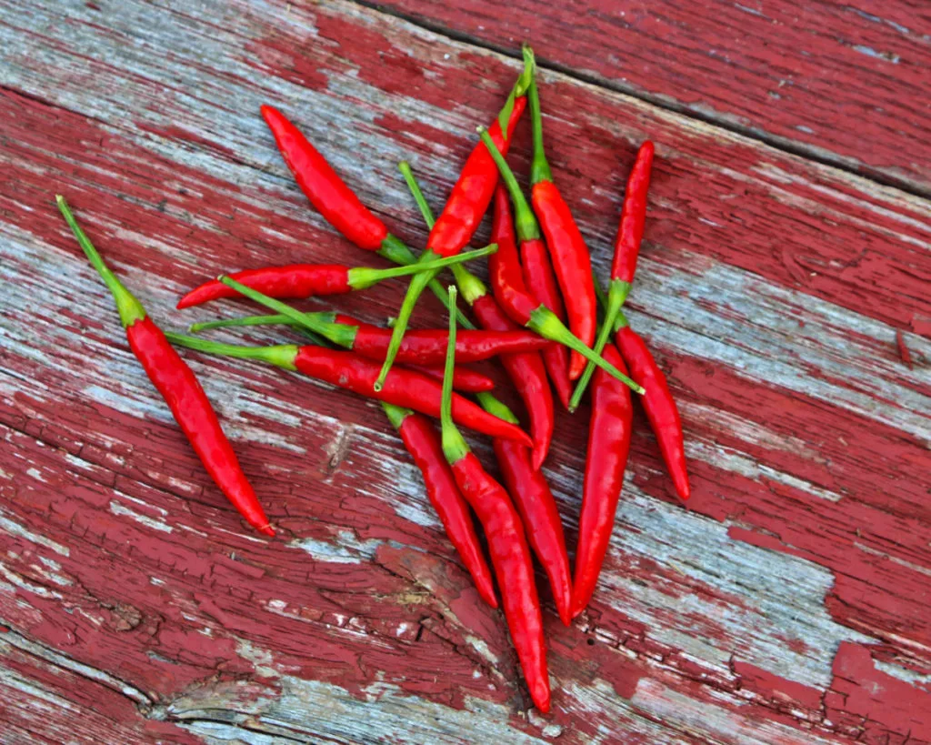 A handful of bright red Thai chili peppers on a worn piece of wood.