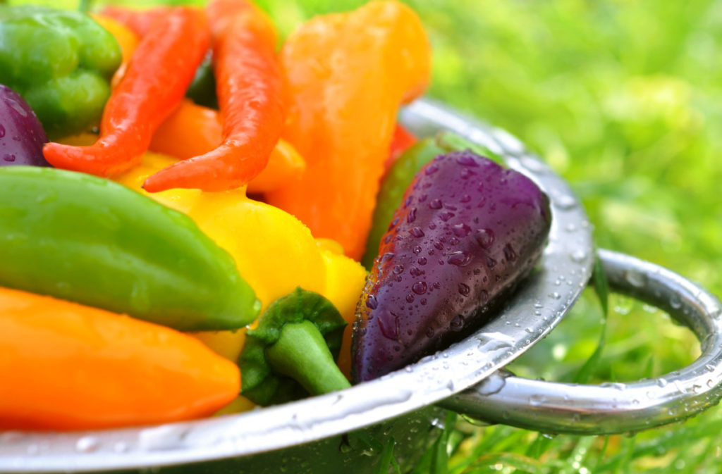 A metal colander full of many different colored peppers.
