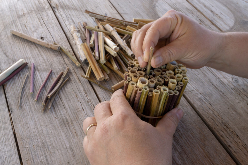 Hands shown putting cut reeds into a circle for a bee hotel.