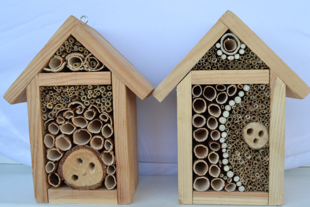 Two bee houses sit side by side.